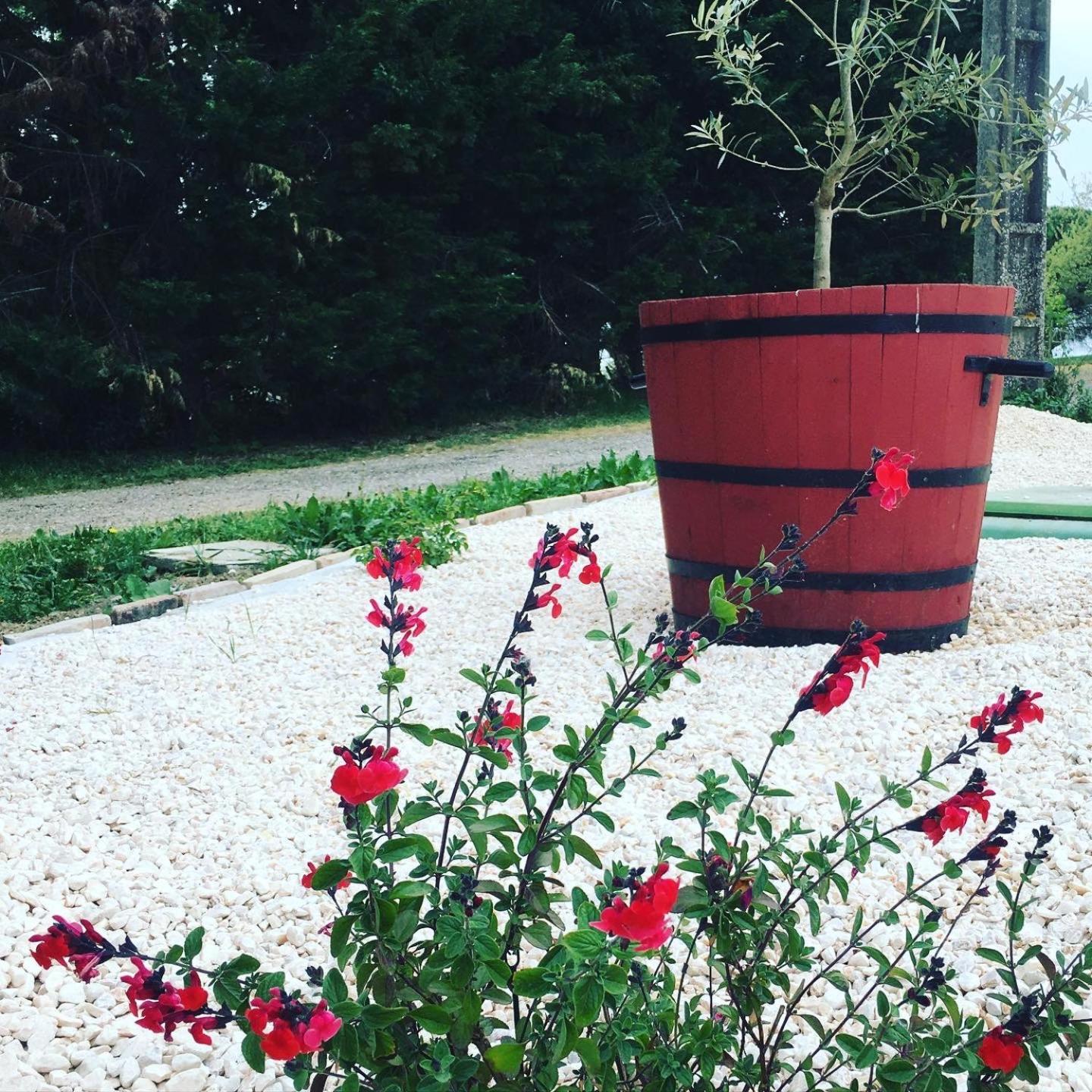 Gite Des Moulins Castelnau-d'Estretefonds Luaran gambar